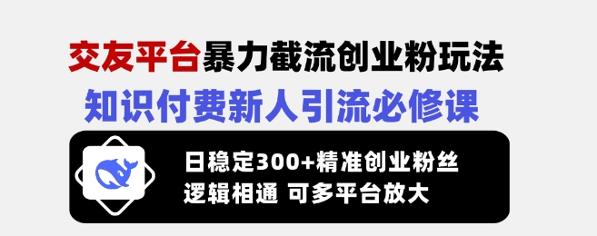 交友平台暴力截流创业粉玩法,知识付费新人引流必修课,日稳定300+精准创业粉丝,逻辑相通可多平台放大-网创论坛