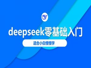 deepseek零基础入门-deepseek教程2025，适合小白慢慢学-网创论坛