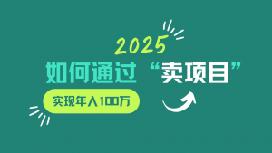 2025年如何通过“卖项目”实现年入100w-网创论坛