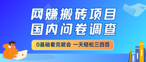 网赚搬砖项目，国内问卷调查，0基础看完就会 一天轻松三四百，靠谱副业...-网创论坛