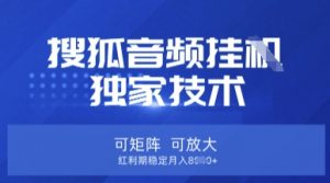 【搜狐音频挂G】独家技术，可矩阵可放大，红利期稳定月入8k【揭秘】-网创论坛