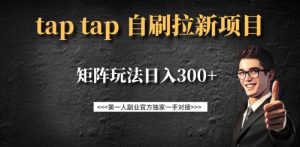 taptap拉新自刷项目，一个新用户14元，矩阵玩法日入300+-网创论坛