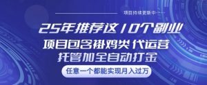 25年推荐这10个副业项目包含褂鸡类、代运营托管类、全自动打金类【揭秘】-网创论坛