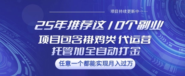 25年推荐这10个副业项目包含褂鸡类、代运营托管类、全自动打金类【揭秘】-网创论坛