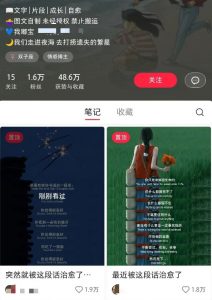 小红书治愈文案图文笔记，零门槛，一分钟制作轻松制作爆款作品月入万元-网创论坛