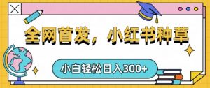 小红书种草，手机项目，日入3张，复制黏贴即可，可矩阵操作，动手不动脑【揭秘】-网创论坛