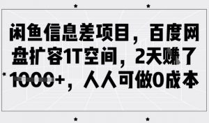 闲鱼信息差项目，百度网盘扩容1T空间，2天收益1k+，人人可做0成本-网创论坛