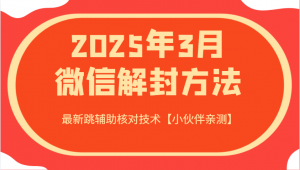 2025年3月微信解封方法 最新跳辅助核对技术【小伙伴亲测】-网创论坛