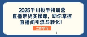 2025千川投手特训营：直播带货实操课，助你掌控直播间引流与转化！-网创论坛