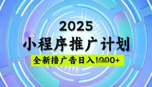 2025微信小程序推广计划，撸广告玩法，日均5张，稳定简单【揭秘】-网创论坛