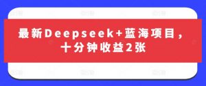 最新Deepseek+蓝海项目，十分钟收益2张-网创论坛