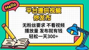 平台提供视频 你发布 无粉丝要求 不看视频播放量 发布就有钱 轻松一天300+-网创论坛