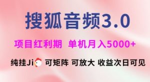搜狐音频挂ji3.0.可矩阵可放大,独家技术,稳定月入5000+【揭秘】-网创论坛