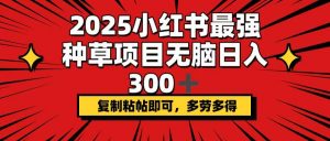 2025小红书最强种草项目，无脑日入300+，复制粘帖即可，多劳多得-网创论坛