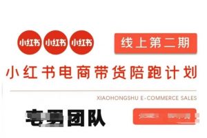 小红书电商带货课2期，月利润20个的小红书电商的有货源，无货源，虚拟产品，付费投流等整套玩法-网创论坛