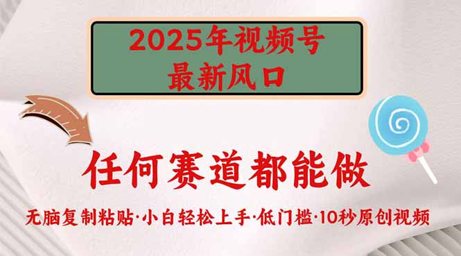 2025年视频号新风口，低门槛只需要无脑执行-网创论坛