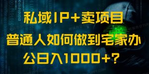 私域IP+卖项目，普通人如何做到宅家办公实现日入1000+-网创论坛