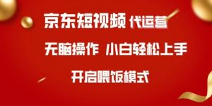 京东短视频代运营，全程喂饭，小白轻松上手【揭秘】-网创论坛