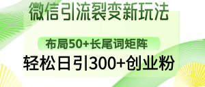 微信引流裂变新玩法：布局50+长尾词矩阵，轻松日引300+创业粉-网创论坛