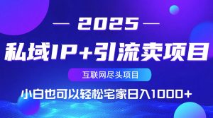 私域IP+引流卖项目，小白也可以做到轻松宅家日入1000+-网创论坛