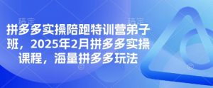 拼多多实操陪跑特训营弟子班，2025年2月拼多多实操课程，海量拼多多玩法-网创论坛