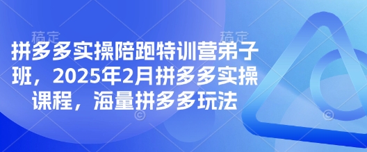 拼多多实操陪跑特训营弟子班，2025年2月拼多多实操课程，海量拼多多玩法-网创论坛