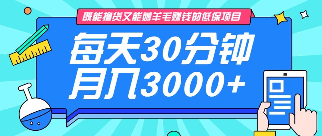 既能撸货又能赚钱的长期低保项目，每天30分钟，多号百分百稳定月入3000+！-网创论坛