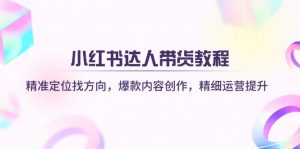 小红书达人带货教程：精准定位找方向，爆款内容创作，精细运营提升-网创论坛