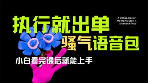 爆火全网的开车导航骚气语音包,只要执行就出单，小白看完课程就能实操...-网创论坛
