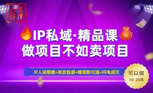 2025年“IP私域·密训精品课”，日赚3000+小白避坑年赚百万，暴力引流...-网创论坛