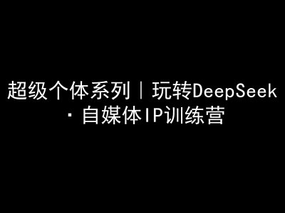超级个体系列，玩转DeepSeek·自媒体IP训练营，deepseek教程-网创论坛