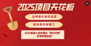 2025项目天花板普通人如何通过知识付费，实现财F自由【揭秘】-网创论坛