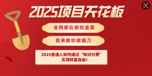 2025项目天花板普通人如何通过知识付费，实现财F自由【揭秘】-网创论坛