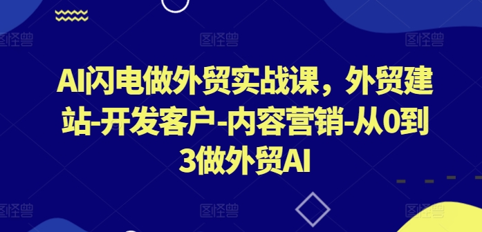 AI闪电做外贸实战课，​外贸建站-开发客户-内容营销-从0到3做外贸AI(更新)-网创论坛