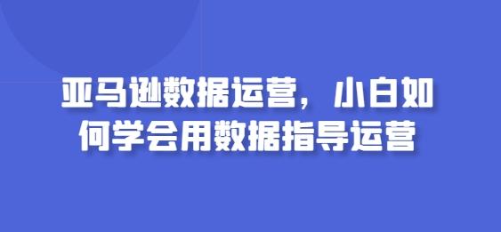 亚马逊数据运营，小白如何学会用数据指导运营-网创论坛