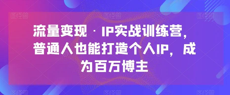 流量变现·IP实战训练营，普通人也能打造个人IP，成为百万博主-网创论坛