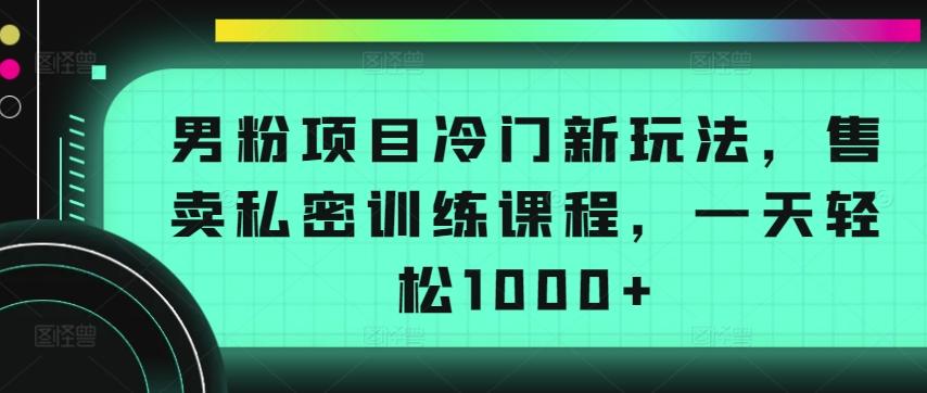 男粉项目冷门新玩法，售卖私密训练课程，一天轻松1000+【揭秘】-网创论坛