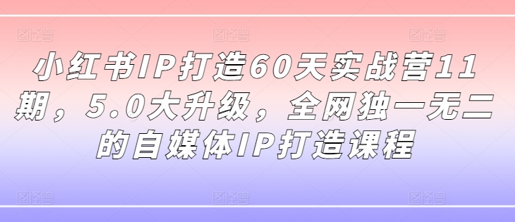 小红书IP打造60天实战营11期，5.0大升级，全网独一无二的自媒体IP打造课程-网创论坛