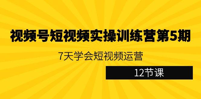 视频号短视频实操训练营第5期：7天学会短视频运营(12节课)-网创论坛