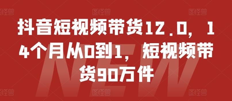 抖音短视频带货12.0，14个月从0到1，短视频带货90万件-网创论坛