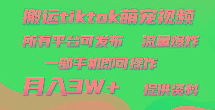 (9618期)搬运Tiktok萌宠类视频，一部手机即可。所有短视频平台均可操作，月入3W+-网创论坛