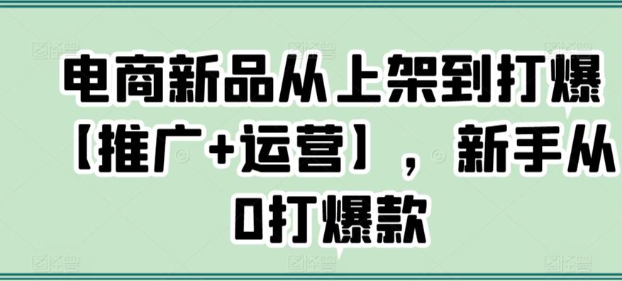 电商新品从上架到打爆【推广+运营】，新手从0打爆款-网创论坛