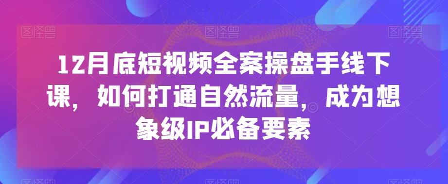 12月底短视频全案操盘手线下课，如何打通自然流量，成为想象级IP必备要素-网创论坛