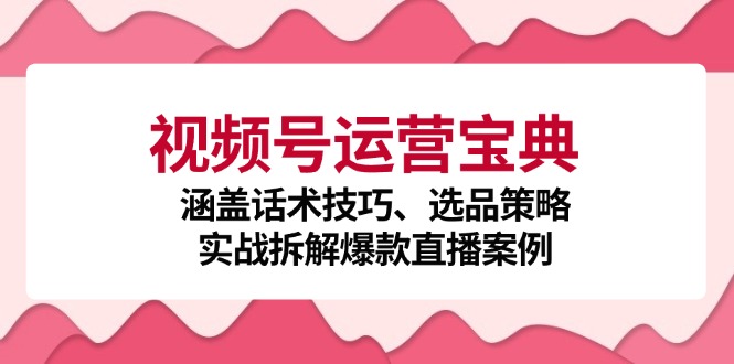 视频号运营宝典：涵盖话术技巧、选品策略、实战拆解爆款直播案例-网创论坛