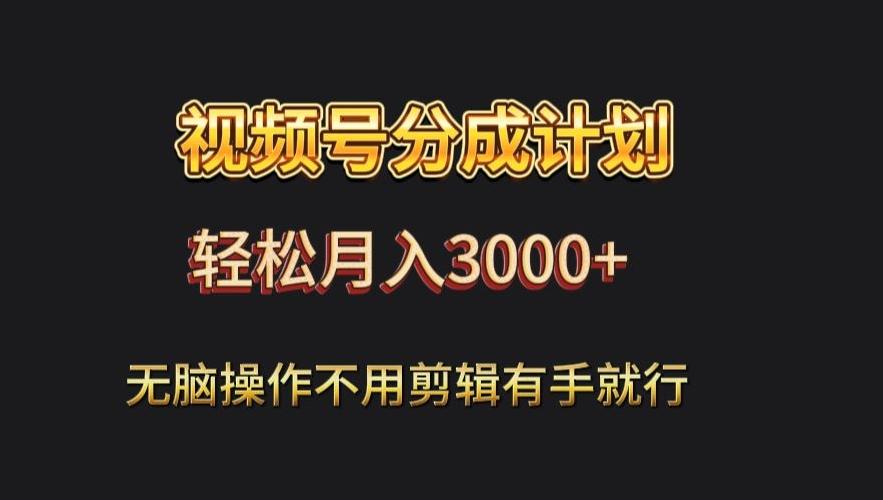 视频号流量分成，不用剪辑，有手就行，轻松月入2000+-网创论坛