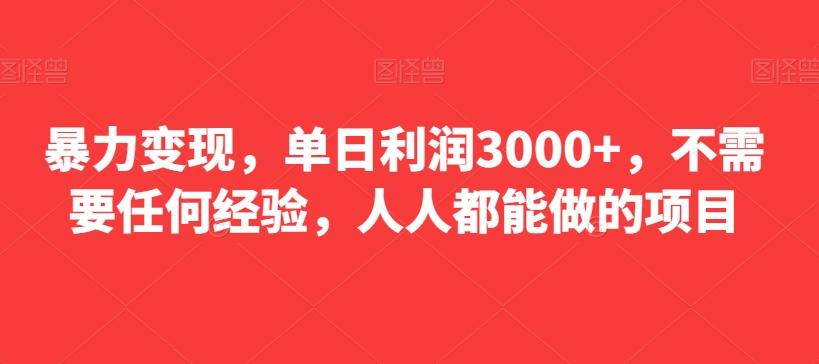 暴力变现，单日利润3000+，不需要任何经验，人人都能做的项目-网创论坛