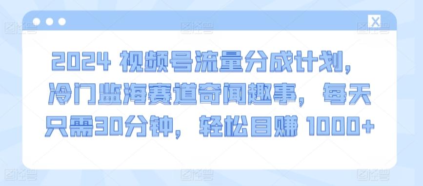 2024视频号流量分成计划，冷门监海赛道奇闻趣事，每天只需30分钟，轻松目赚 1000+【揭秘】-网创论坛