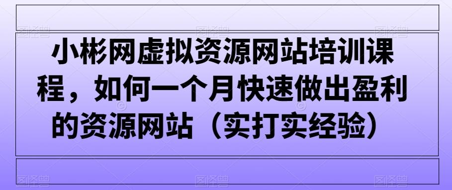 小彬网虚拟资源网站培训课程，如何一个月快速做出盈利的资源网站(实打实经验)-网创论坛