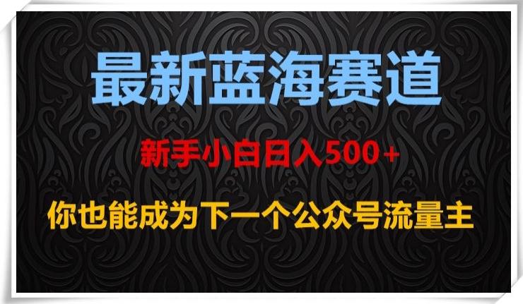 最新蓝海赛道，新手小白日入500+，你也能成为下一个公众号流量主【揭秘】-网创论坛
