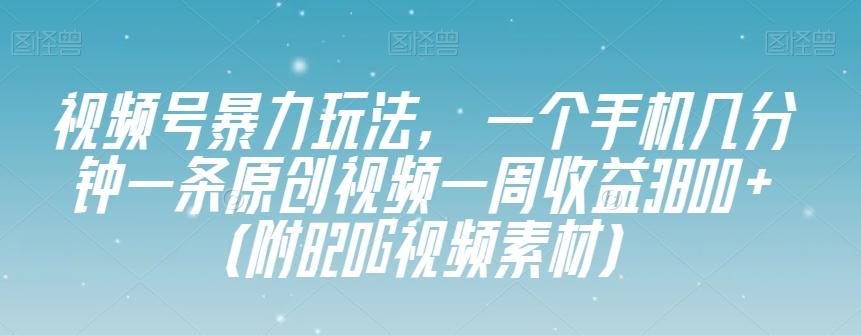 视频号暴力玩法，一个手机几分钟一条原创视频一周收益3800+（附820G视频素材）-网创论坛